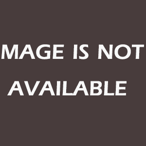 Mr. Tadesse Asefa - Photo Unavailable