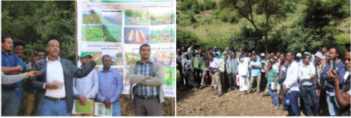 BENEFIT-REALISE Cluster Conducted Field Day group Photo