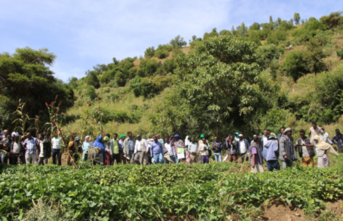 BENEFIT-REALISE Cluster conducted zonal level field day on farmers’ fields