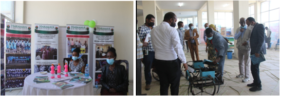 staff attended the workshop