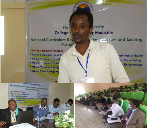 National curriculum Review Workshop