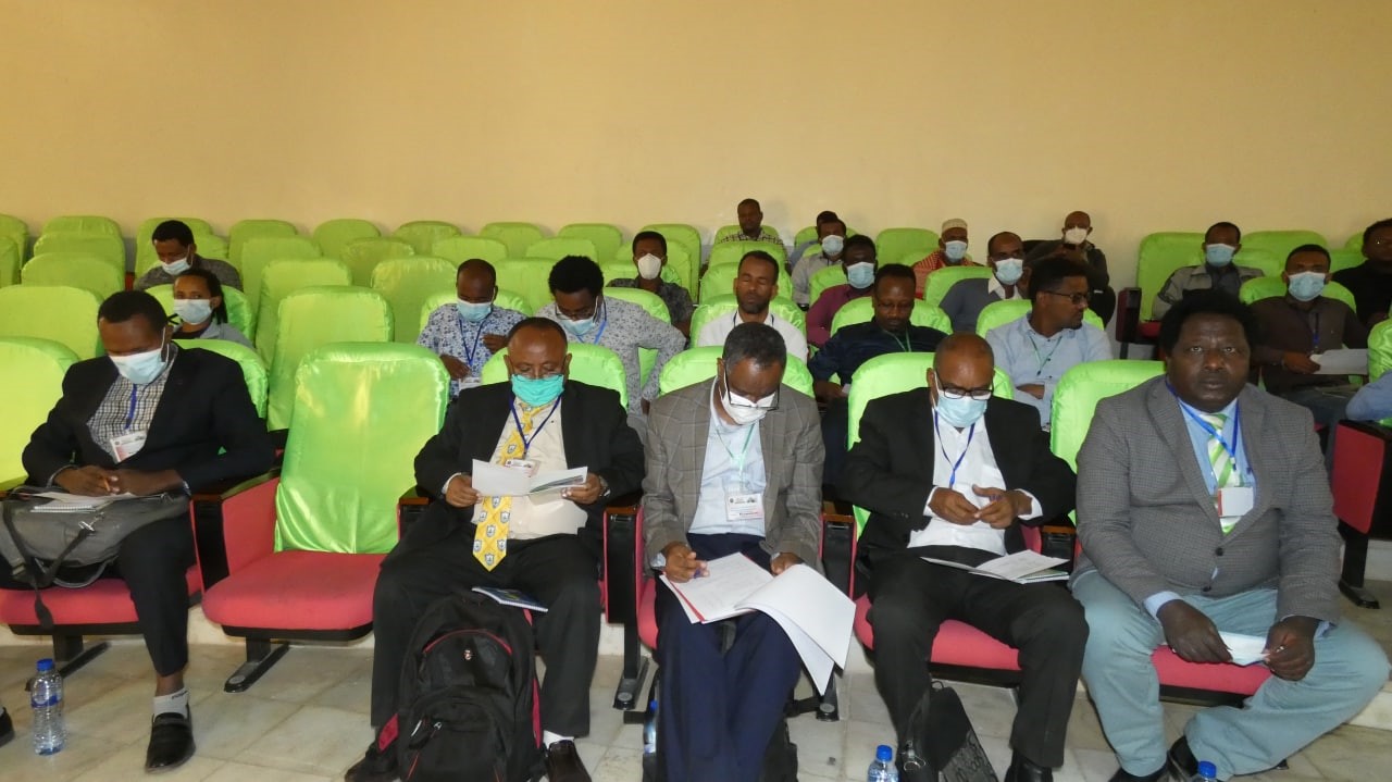 Reviewing the curriculum