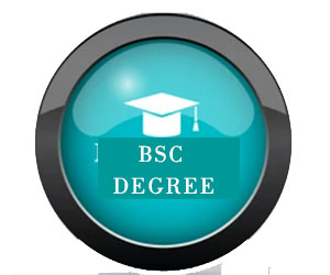 BSc Degree icon
