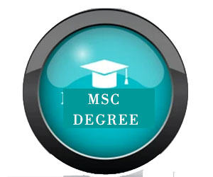 Master Degree icon