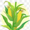 Crop Crop