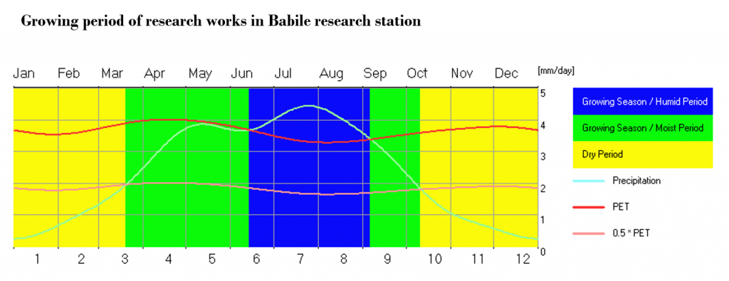 Babile Research Stations – Research and Community Engagement