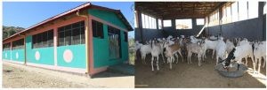 aramaya University has acquired a new research station in Kurfa