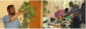 An event was organized at Tony Farm to introduce Chaya