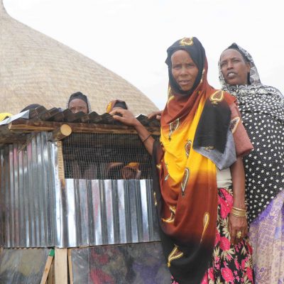 Polutry Support for Feamle households Kurfa-Chele Research station photo