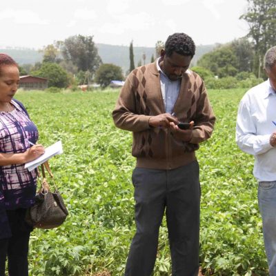 Seed Inspection at Rare Research Station, three people group