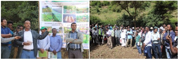 BENEFIT-REALISE Cluster Conducted Field Day