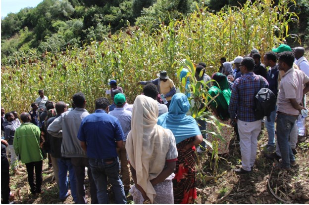 Annual Research field day held at the main campus research center