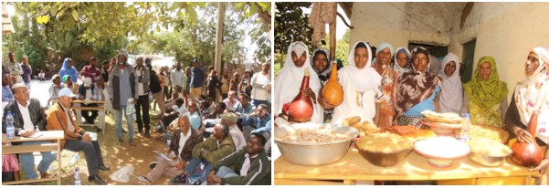 Haramaya University BENEFIT-REALISE Cluster conducted at zonal level on field day