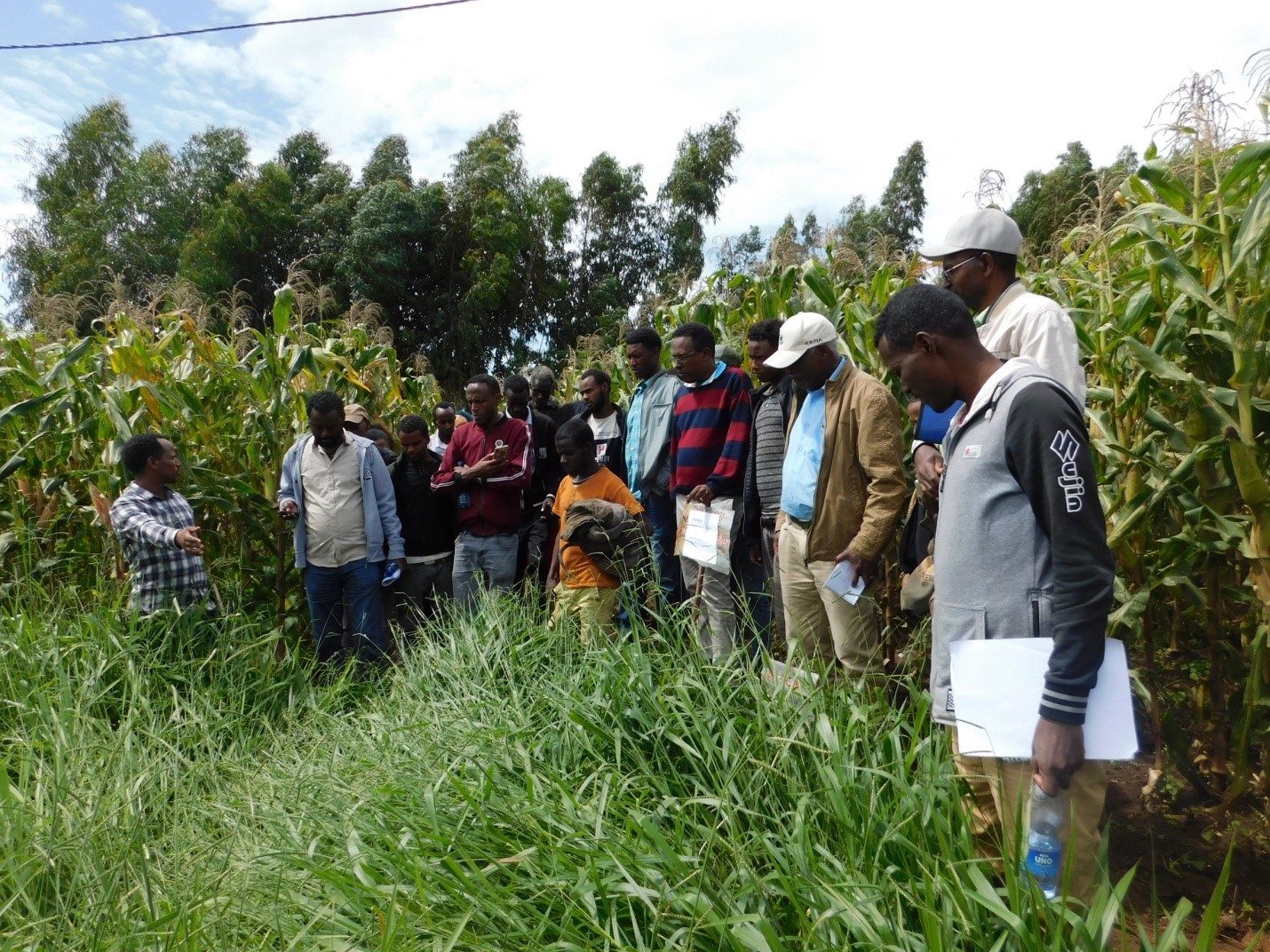Innov Africa conducted a Field Day