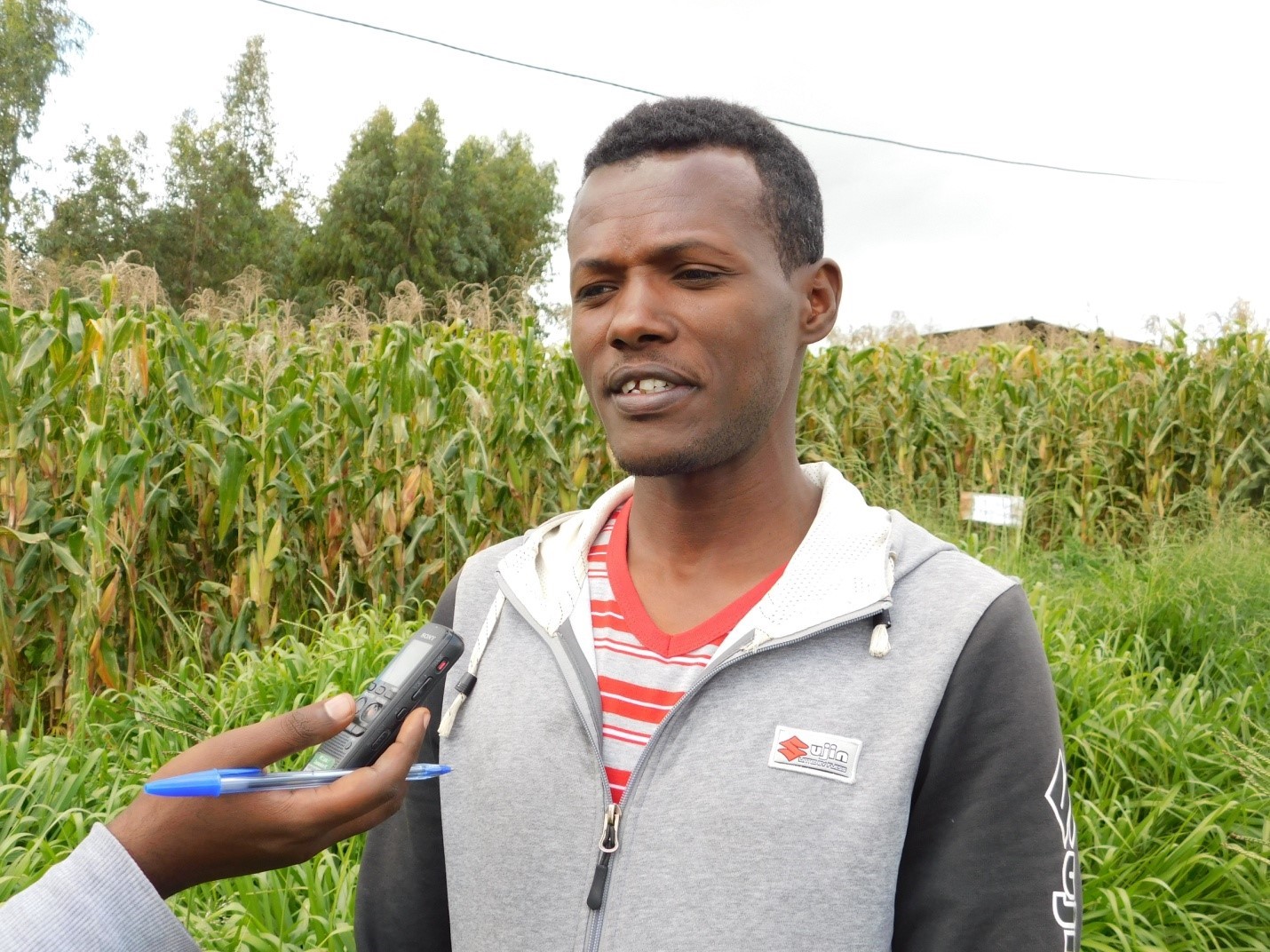 Innov Africa conducted a Field Day