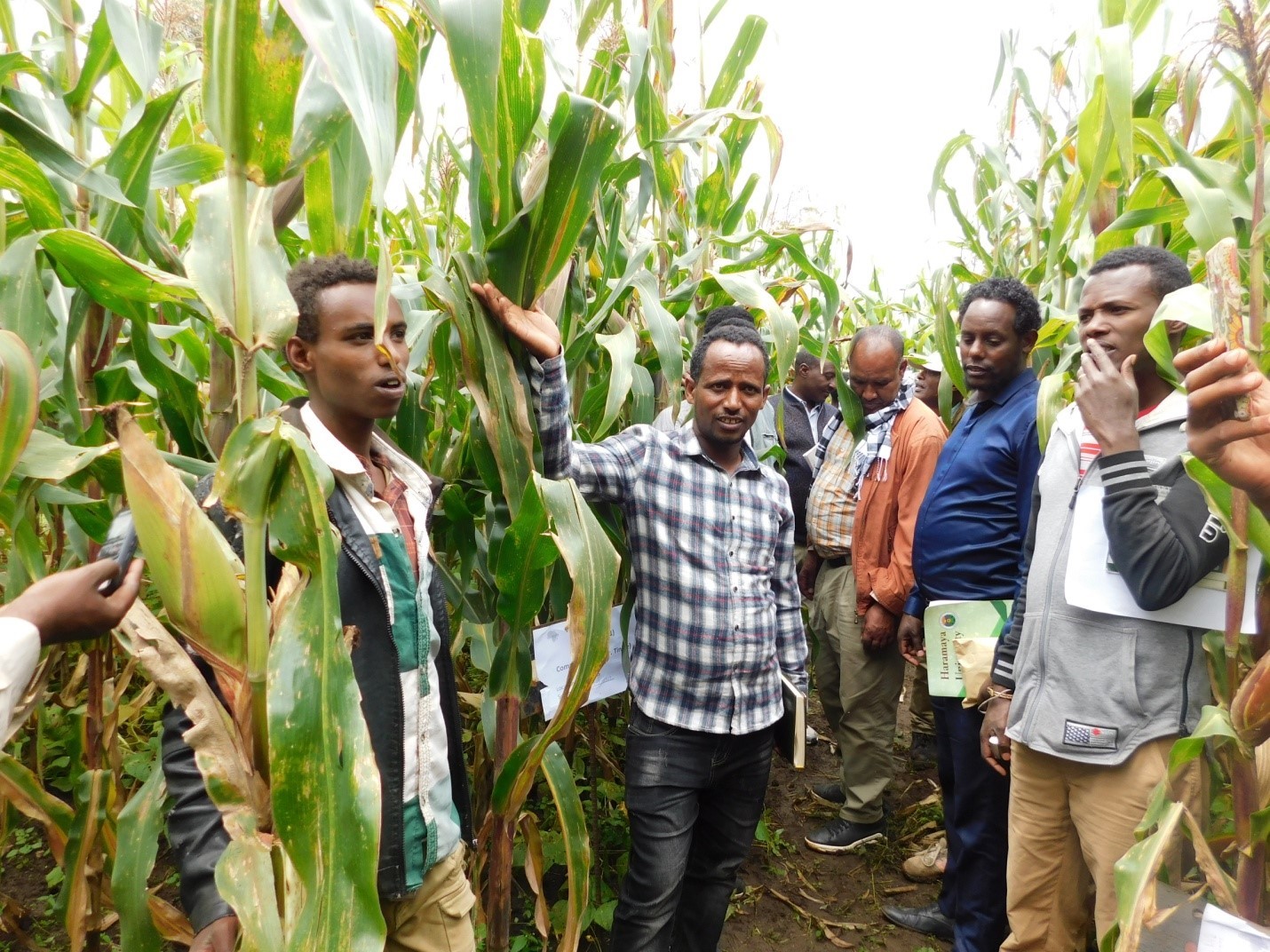 Innov Africa conducted a Field Day