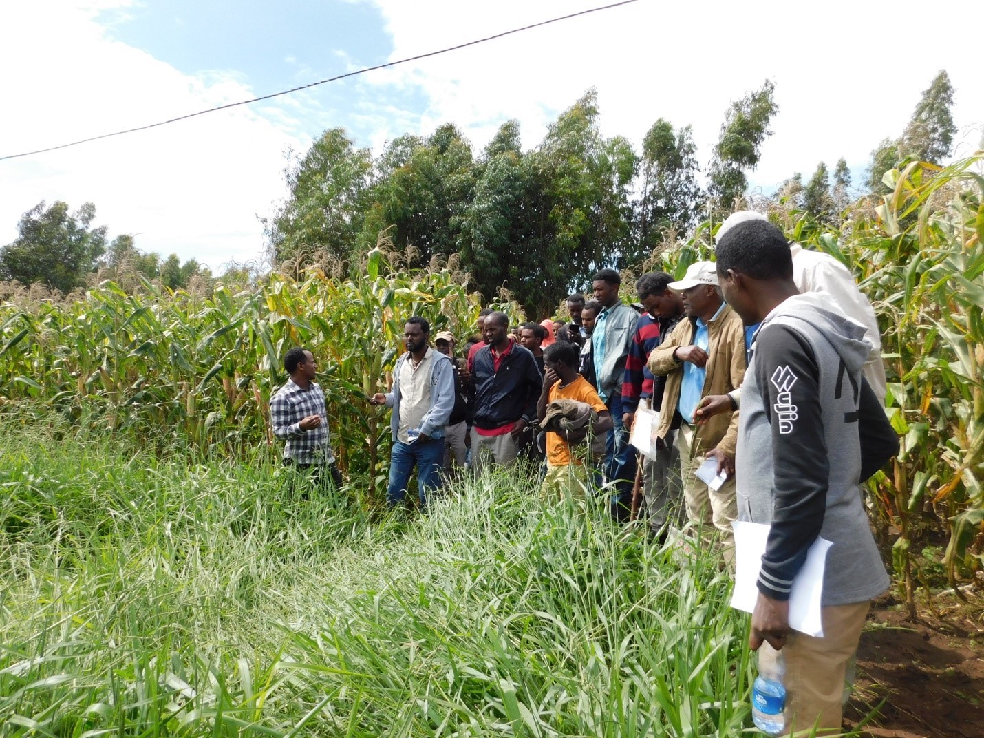 Innov Africa conducted a Field Day