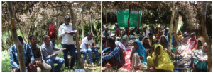 Haramaya University’s BENEFIT-REALISE Cluster conducted a field day in Gurawa