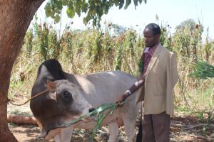 Residents of East and West Hararghe expressed that they have benefited from the free legal aid service being provided in their area by Haramaya University’s College of Law.