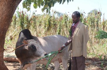 Residents of East and West Hararghe expressed that they have benefited from the free legal aid service being provided in their area by Haramaya University’s College of Law.
