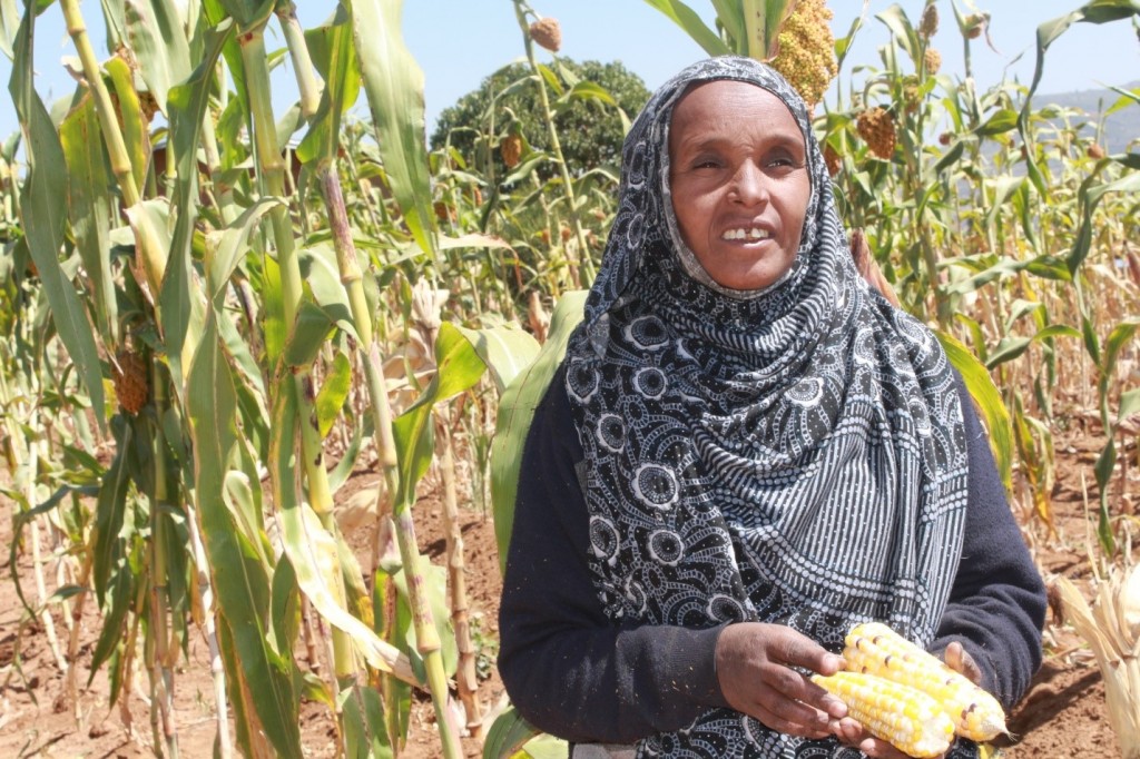 Residents of East and West Hararghe expressed that they have benefited from the free legal aid service being provided in their area by Haramaya University’s College of Law.