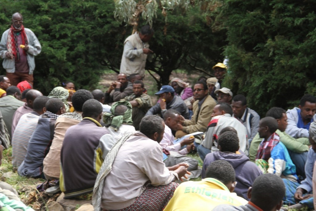 Farmers, researchers delegates of regional, zonal and woreda offices of agriculture, development agencies, administrators and representatives from Haramaya University were present for the 2016 Field Day
