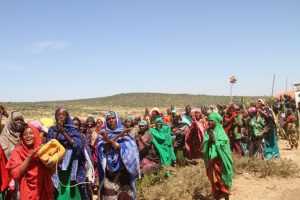 Some farmers and development workers in drought-prone areas stated that "Kekeba," a wheat variety developed through research by Haramaya University, is yielding produce in a short period despite rainfall shortages.