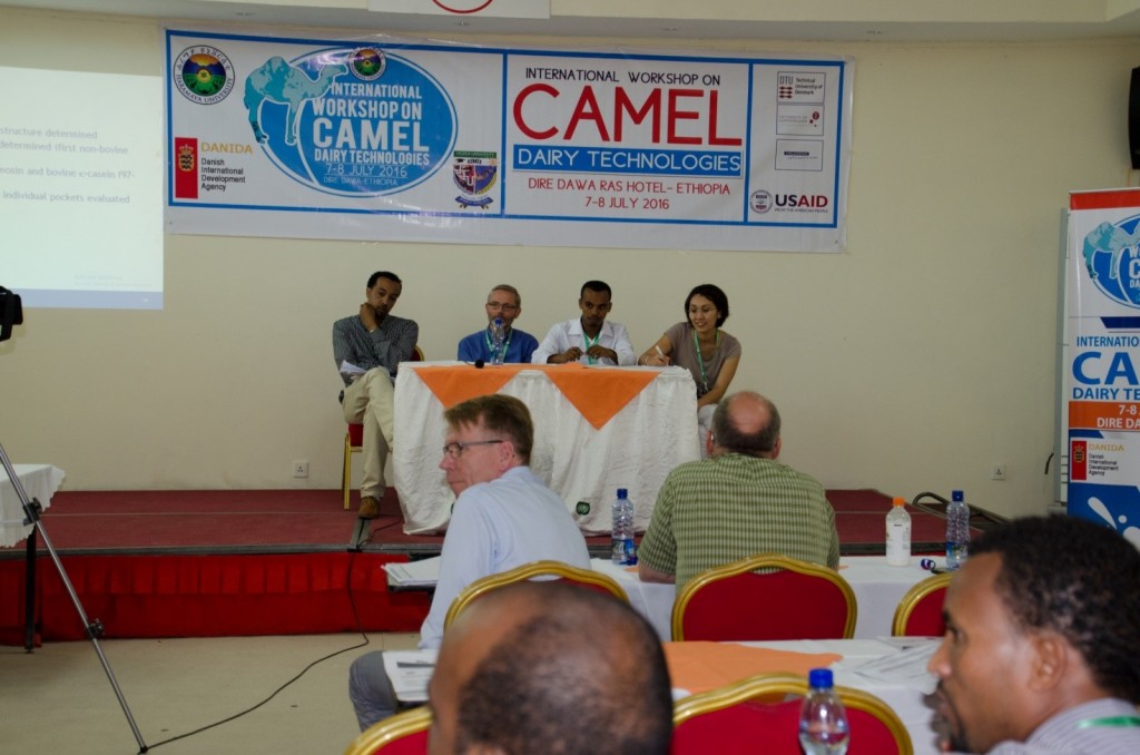 Haramaya University (HU) has hosted an International workshop on camel Dairy Technologies
