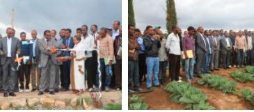Haramaya University held the annual workshop