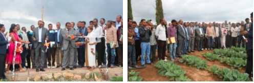 Haramaya University held the annual workshop