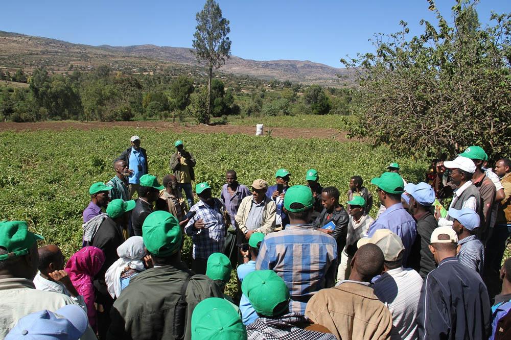 stakeholders’ consultative workshop organized by Haramaya University in collaboration with Dry lands Coordination Group (DCG) was held in campus from December 30-31, 2016.