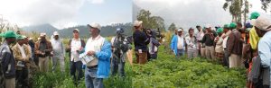 Haramaya University’s CASCAPE project field day image