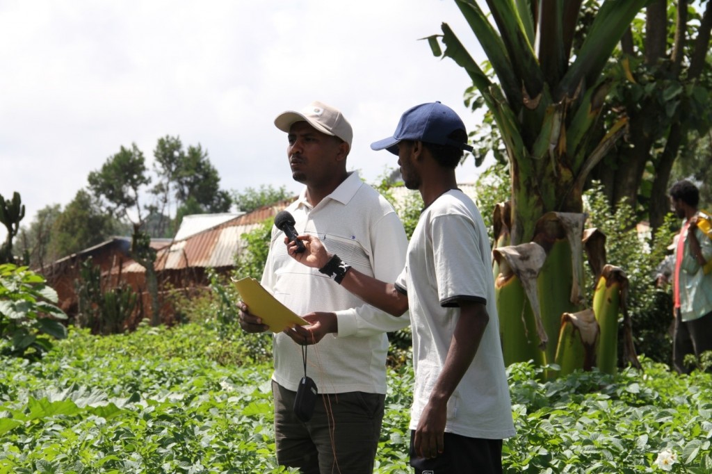 Haramaya University’s CASCAPE project field day image
