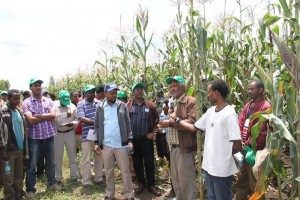 supporting farmers as well as disseminating technologies and best practices.