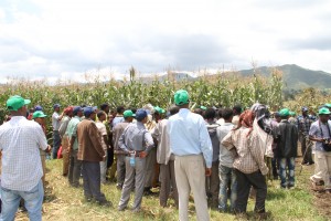 supporting farmers as well as disseminating technologies and best practices.