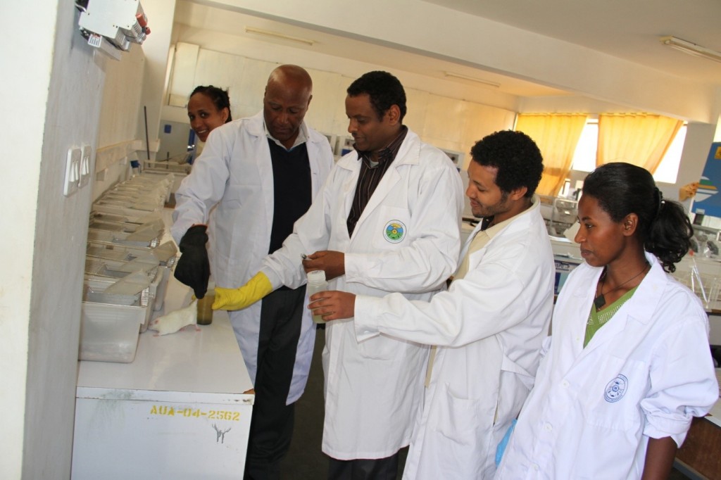 HU Conducting Research on Camel Milk and Diabetes laboratory test image
