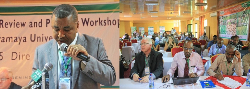 D/r. Girma Amente at CASCAPE National Workshop image