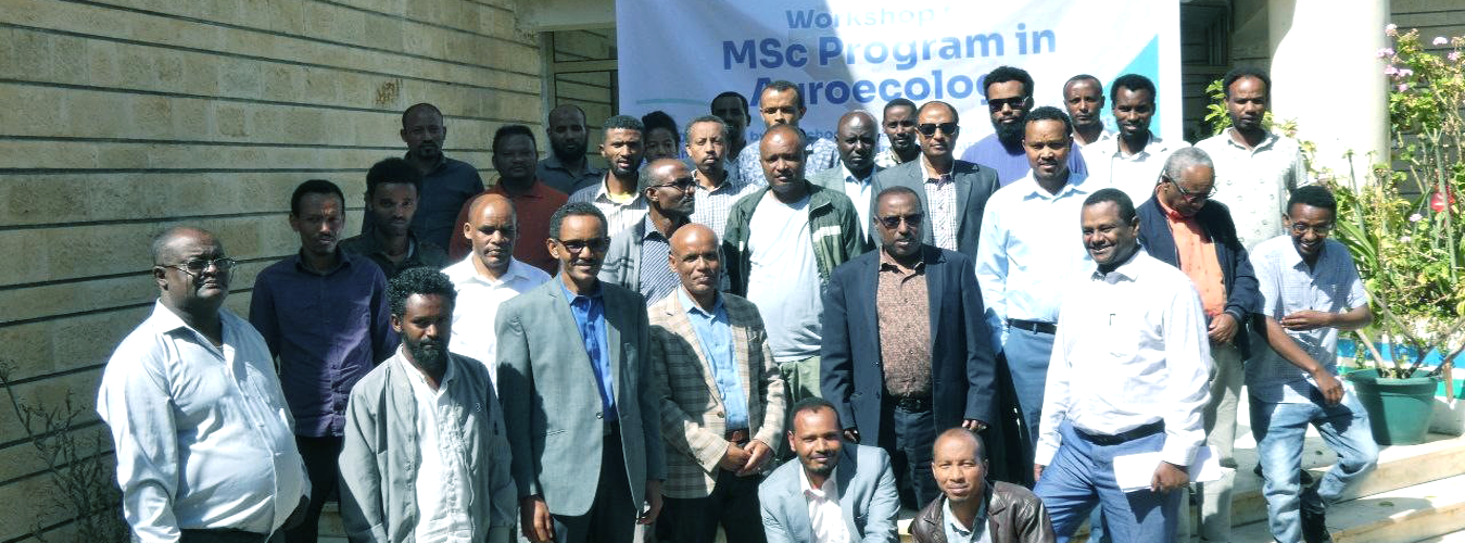 Participants