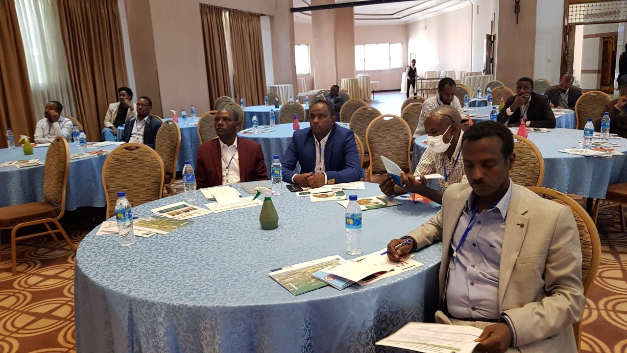 The 2nd Annual National Workshop of Universities' Awash and Wabi-Shebele Basins Forum image