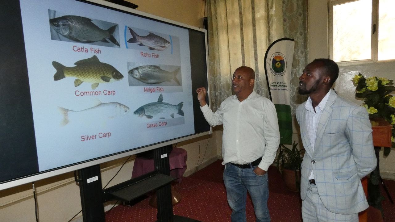 Training Conducted on Fish Production image