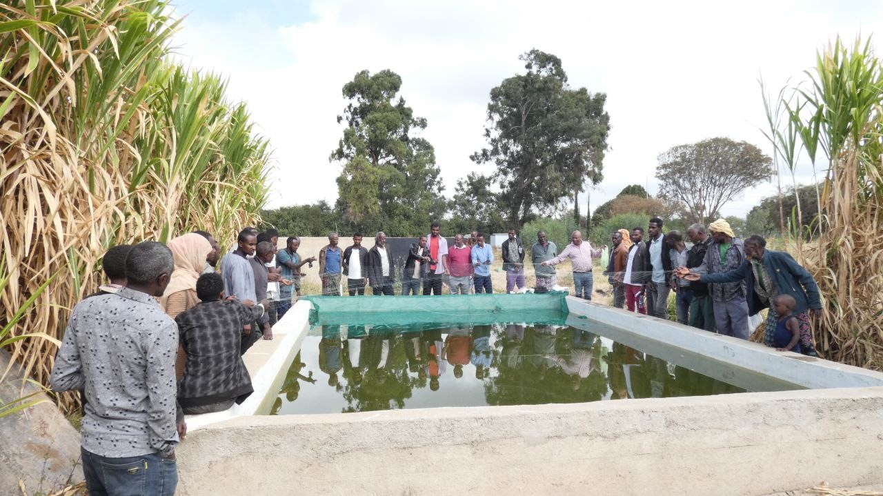 Fish Production training image