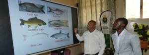 Haramaya University conducted Fish production training image