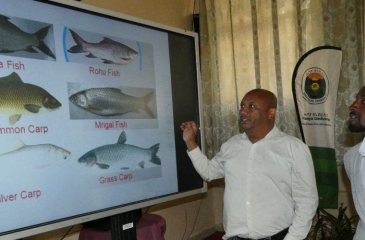 Haramaya University conducted Fish production training image