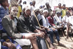 Participant on Borana Cross-Boundary Initiative for Peace Activity Project image