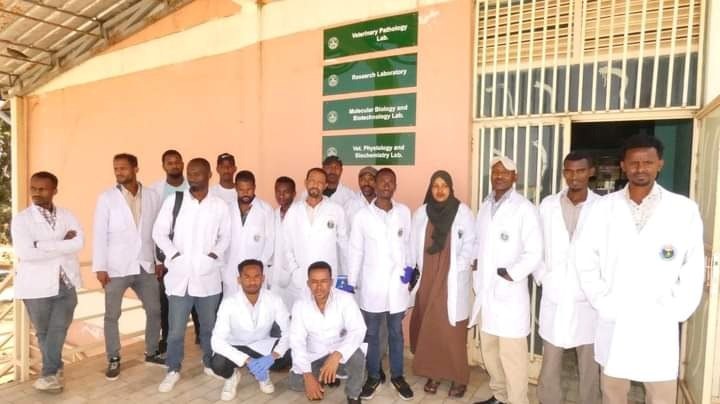 Hygienic Meat Handling and Sanitation Practices training image