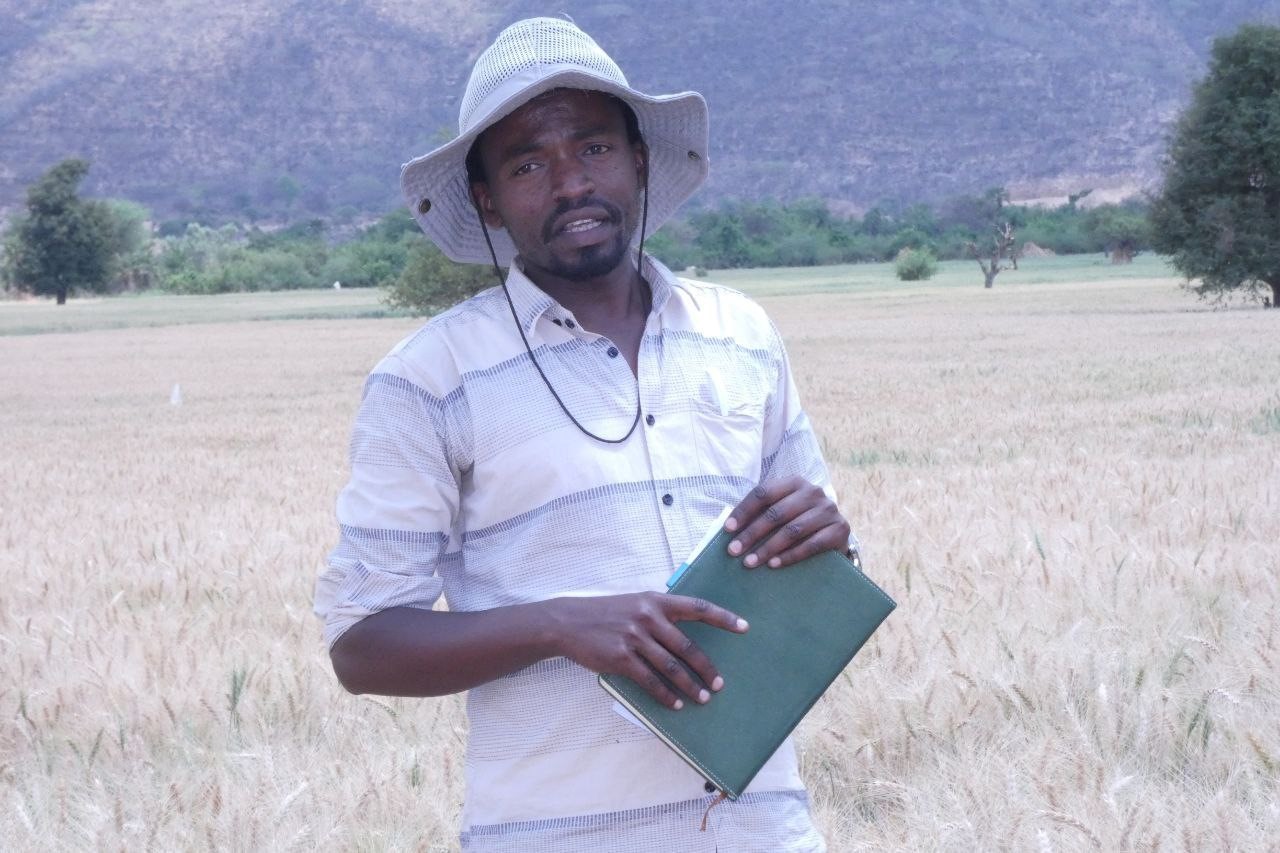 Mr. Kemal Kassim  on a Field Day on Irrigated Wheat Seeds Duplication image