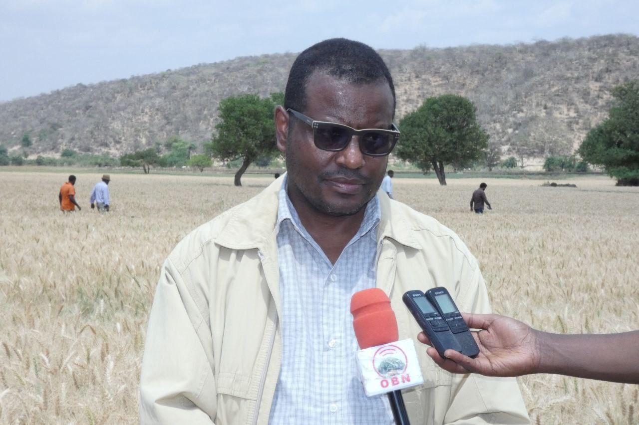 Dr. Tesfaye Lemma on a Field Day on Irrigated Wheat Seeds Duplication image