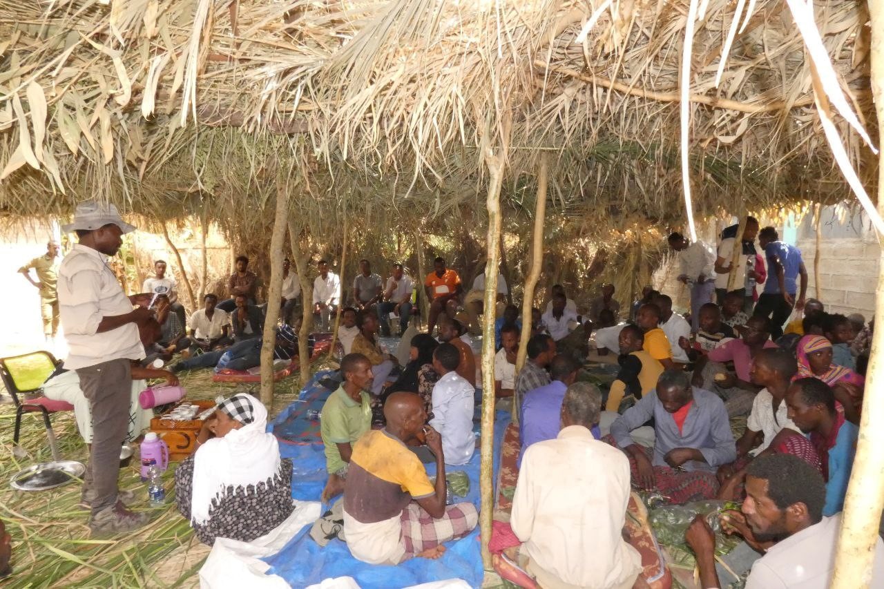 Field Day on Irrigated Wheat Seeds duplication in Meyu Muluke, Kumbi and Meta Woredas, East Hararghe image