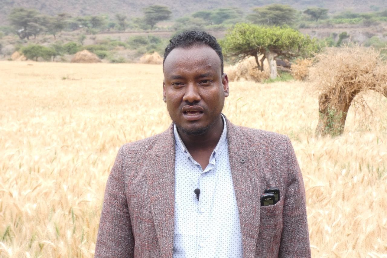 Field Day on Irrigated Wheat Seeds duplication in Meyu Muluke, Kumbi and Meta Woredas, East Hararghe image