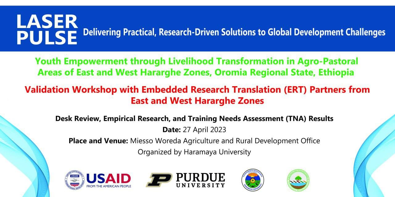Youth Empowerment through Livelihood Transformation in Agro-Pastoral Areas through LASER PULSE project workshop image 